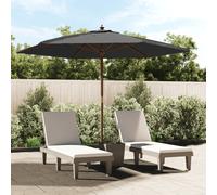 Ombrellone da Giardino con Palo in Legno Antracite 299x240 cm