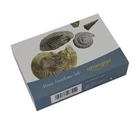 Omegon Set mini fossili