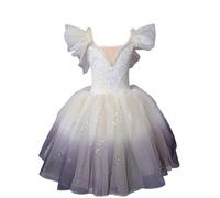 Omfpafeu Abiti da Principessa Senza Maniche in Tulle Lucido per Bambine, Costume da Ballerina, Abito da Balletto con tutù e Gonna,E,110