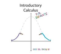 Omi M Inouye Introductory Calculus For Infants (Tascabile)
