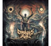 Ominous Ruin Amidst Voices That Echo In Stone (Vinyl LP)