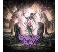 Ominous Ruin - Requiem[Random Eco-Mix LP]