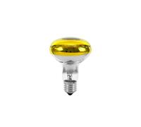 Omnilux - Lampadina R80, 230 V, 60 W, E-27, colore: verde