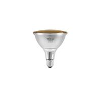 Omnilux PAR-38 230 V LED SMD 15 W E27 Giallo