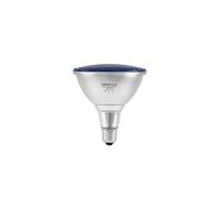 Omnilux PAR-38 230V SMD 15W E-27 LED Blue Lampada