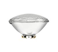 OMNILUX PAR-56 12V / 300W WFL Pool