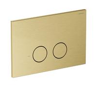 Omnires Steel-R45 placca di comando per WC || ST45PS1BSB