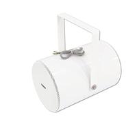 OMNITRONIC - PS-30, Montabile a soffitto, DJ, Incasso, Cablato, 110 - 15000 Hz, Bianco - SPEDIZIONE GRATUITA