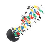 Omquot Modello a Doppia del DNA, Modello di DNA in Plastica Scientifico Facile da Usare per Insegnare