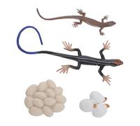 Omquot Skink Life Cycle Toy Figurine Educative per Sandbox Gioca con 4 Modelli in PVC Sicuri per Bambini dai 2 Anni in su