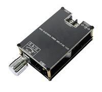 Omvial -1001B Mono 100 W Bluetooth 5.1 Modulo Amplificatore di Potenza Audio DC7-24V Chip Amplificatore di Potenza TPA3116 con