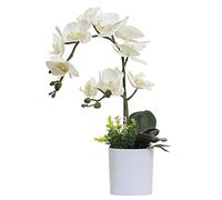 Omygarden Orchidea bianca artificiale in vaso, fiori finti di orchidea in plastica, decorazione per casa, ufficio, matrimonio (bianco 2 mazzi)