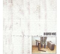 ON BROKEN WINGS - SOME OF US MAY NEVER...