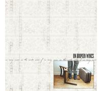 On Broken Wings Some of Us May Never See the World (CD)