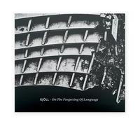 On The Forgetting Of Language