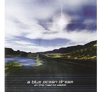On the Road to Wisdom by A Blue Ocean Dream (2005-10-18)