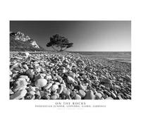 On the rocks. Phoenician Juniper, Lispedda , Gairo, Sardinia. Ediz. italiana e inglese. Con stampa Fine Art