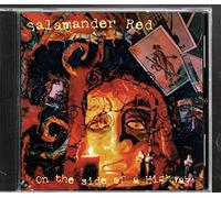 On the Side of a Highway