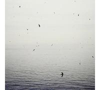 On - Your Naked Ghost Comes Back At Nigh