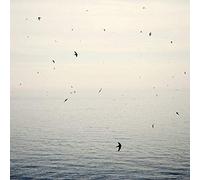 On - Your Naked Ghost Comes Back. [Import]