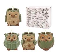 ONBAGLST Candele profumate in vetro, set regalo per la gestione dello stress, set da 4 candele per donne e uomini, candele di Natale, candele di compleanno per donne (decorazione pinguino)