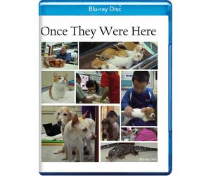 Once They Were Here Various Contributors Hao Chit Chan Tengteng