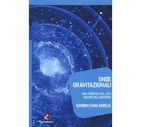 Onde gravitazionali. Una finestra sul lato oscuro dell'universo