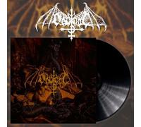 Ondskapt Arisen From The Ashes (Black Vinyl LP) (Vinyl LP)