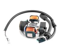 one by Camamoto cod. 77199491 statore magnete volano compatibile con vespa pk 50cc rif. Orig.199491