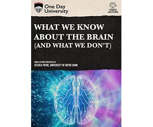 One Day University: What We Know About the Brain (And What We Don't)