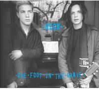 One Foot In The Grave: Expanded Edition by Beck