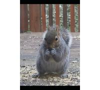 One Hundred Nights, One Hundred World: Stories for Children