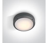One Light plafoniera per esterni 1x20 W antracite 67204/AN