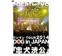 One Man Tour 2014 Dog in Japan