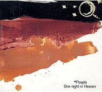 One Night In Heaven