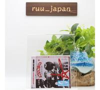 ONE OK ROCK Luxury Disease JAPAN CD Standard Edition nuovo