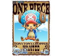 ONE PIECE 15TH SEASON GYOJIN T