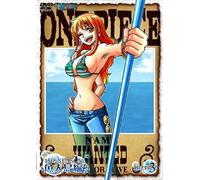 ONE PIECE 15TH SEASON GYOJIN T