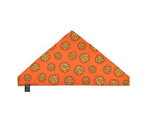 One Piece Bandana & Berry Coins Set Nami Cinereplicas