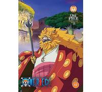 One Piece: Collection 31 (DVD)
