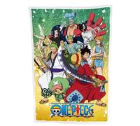 One Piece Fleece Blanket Ver. 2 100 x 150 cm
