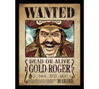 ONE PIECE LIVE ACTION - Gold Roger - Impression encadrée 30x40cm