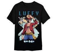 One Piece Monkey D. Luffy Map adult t-shirt