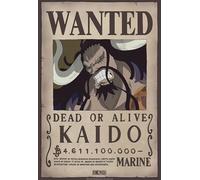 ONE PIECE - Poster Wanted Kaido (52x35)