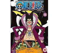 One Piece (Uncut) Collection 9 (Episodes 206-229) (DVD)