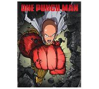 One - Punch Man (Standard Edition) (2 Dvd) [Edizione: Stati Uniti]