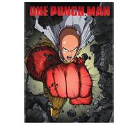 One - Punch Man Standard Edition (DVD) Various