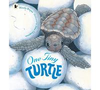 One Tiny Turtle