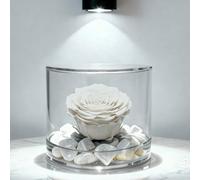 OneFlower by Premium Rose Box Tondo con Rosa Bianca Stabilizzata e Marmo di Carrara, Idea Regalo Unica e Raffinata, Idea Regalo per lei, Natale, Cubo Rosa Bianca, Fatta in Italia (Bianca 1098)