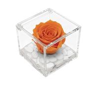 OneFlower by PREMIUM ROSE - Cubo Rosa Stabilizzata 6 cm con Marmo di Carrara Made In Italy - Rosa Eterna Stabilizzata Idea Compleanni e Celebrazione Nuovi Traguardi - Arancione 1066